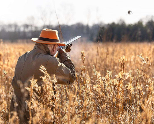 Dove Season Essentials in the Southeast: Gear, Strategies, and Tips for a Successful Hunt