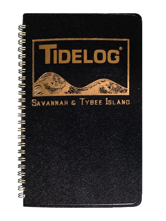 Tybee Island Tidelog 2025