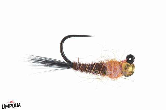 FRENCHIE JIG EGAN'S TGB